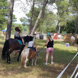 equitherapie-activites pour enfants Lambesc-ferme pedagogique Lambesc-balades a poney Bouches-du-Rhone-jeux exterieurs Lambesc-ecurie de proprietaires Salon-de-Provence-organisation d'anniversaires Mallemort-poney-club Lambesc
