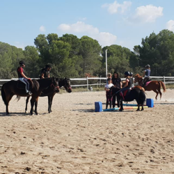 stages d equitation-activites pour enfants Lambesc-ferme pedagogique Lambesc-balades a poney Bouches-du-Rhone-jeux exterieurs Lambesc-ecurie de proprietaires Salon-de-Provence-organisation d'anniversaires Mallemort-poney-club Lambesc