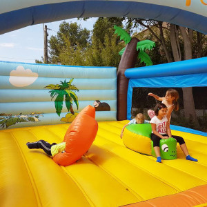 pension chevaux Lambesc-activites pour enfants Lambesc-ferme pedagogique Lambesc-balades a poney Bouches-du-Rhone-jeux exterieurs Lambesc-ecurie de proprietaires Salon-de-Provence-organisation d'anniversaires Mallemort-poney-club Lambesc